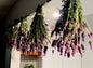 Dried Lavender Bundle(Spanish Variety)